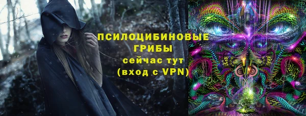 ешки Шадринск