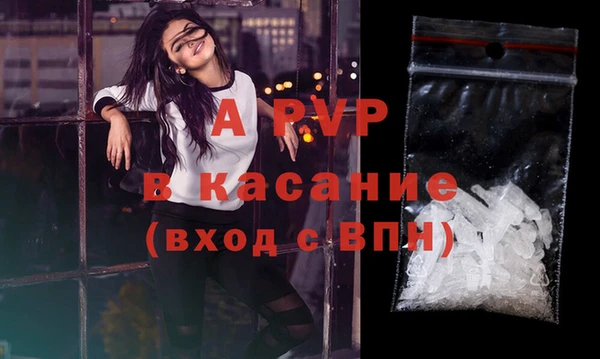 ешки Шадринск